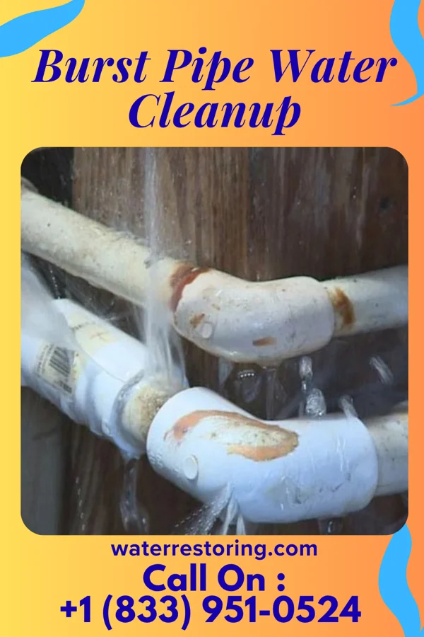 Burst Pipe Water Cleanup in Fenton, MI