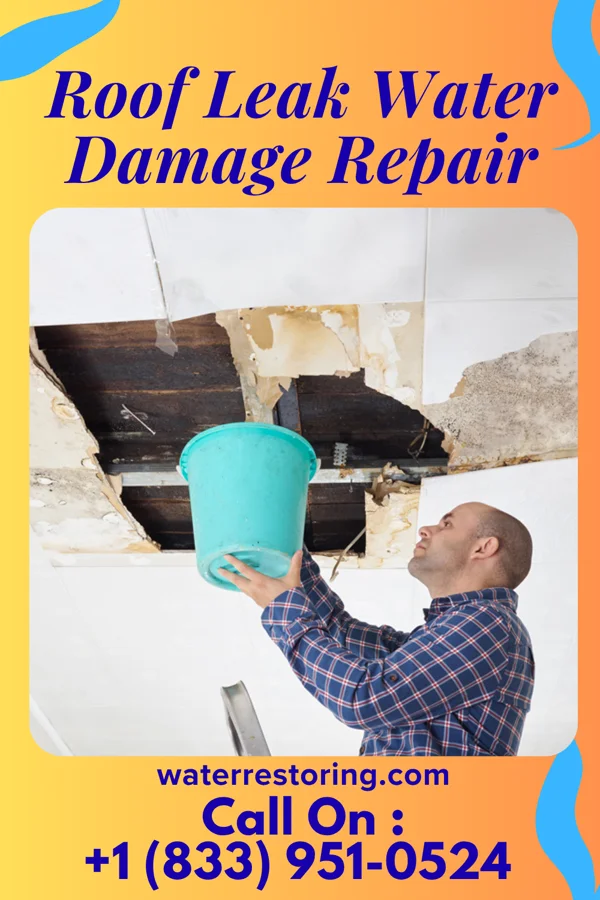 Roof Leak Water Damage Repair in Fenton, MI