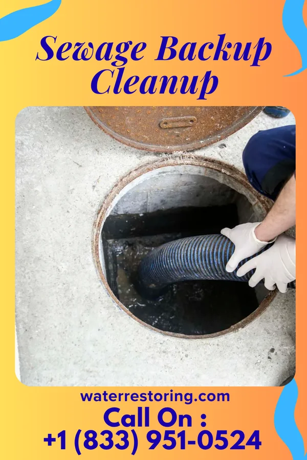 Sewage Backup Cleanup in Fenton, MI